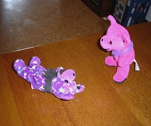 �ߑO4�����琳�߂܂ł��Ⴀ�����͍s���s�\