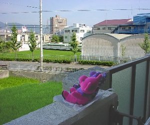 �k�͓��̕��i