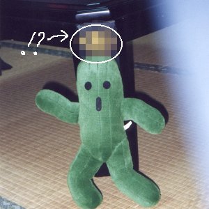 ���A������Ɛ��j�X�y�V�������ۂ�