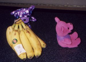 ���A�l�D�����܂�܂�c�c