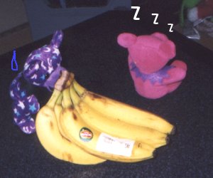 ����ׂ������̕����Q��Ƃ͒�����