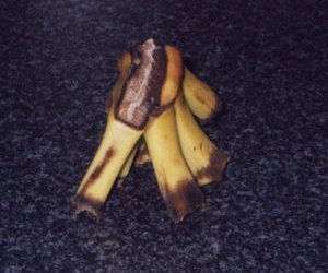 �^�R�^�R���l���ʐ}