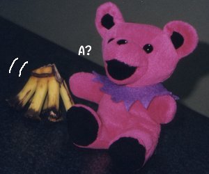 �ɂ�����^�R�^�R���l