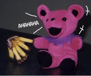 ���������́[�񂸁I�I