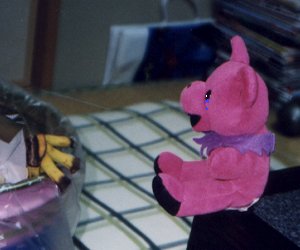 �F���D�̏ꏊ�̓i�C�V������