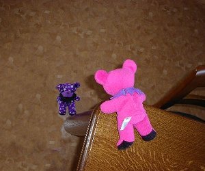 �Ƃ���ɂ���Đ����ƍ���������R�i�C�����́j